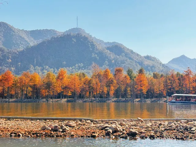 11.15皖南川藏線之落羽紅杉林 11.15皖南川藏線之落羽紅杉林