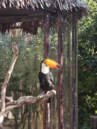 上海野生動物園的快樂