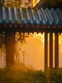 武漢人的私藏拍照聖地堤角公園邂逅初冬浪漫