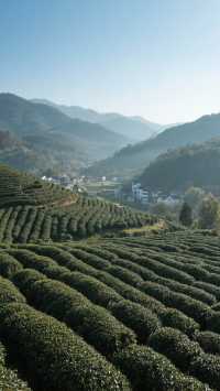 12月武夷山四天三晚，住進茶香雲海！