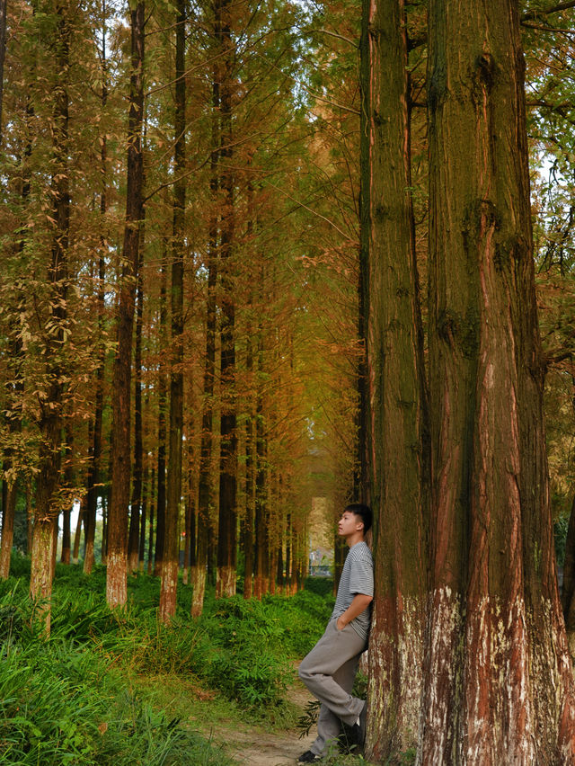 成都市區免費公園 | 升仙湖Citywalk