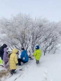 冬天帶娃來寧夏的都是勇士