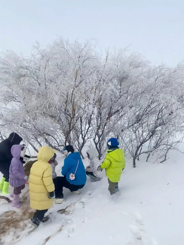 冬天帶娃來寧夏的都是勇士 冬天帶娃來寧夏的都是勇士