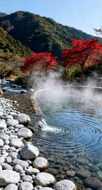 青林溫泉太厲害了！暖冬泡澡，快樂冒泡