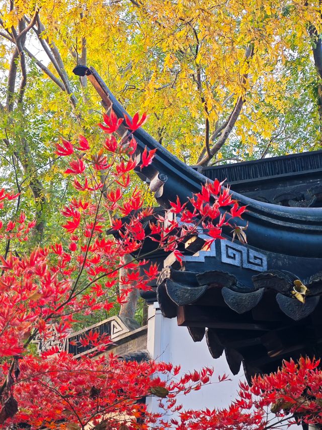 坐著11號線去看秋(上海周邊遊) 坐著11號線去看秋(上海周邊遊)