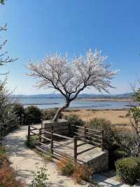 冬天要去麗江-涼山超全遊玩攻略來啦