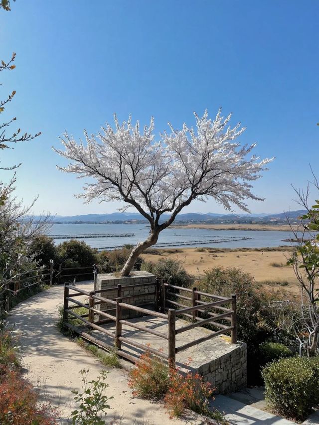冬天要去麗江-涼山超全遊玩攻略來啦 冬天要去麗江-涼山超全遊玩攻略來啦