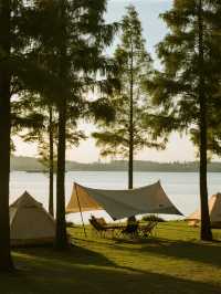 上海冬日親子露營!1h直達免費「看海」秘境