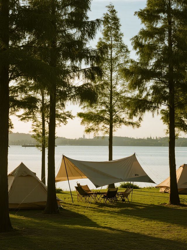 上海冬日親子露營!1h直達免費「看海」秘境 上海冬日親子露營!1h直達免費「看海」秘境