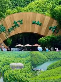 一半是湖水,一半是竹海,溧陽的美,超出你想像!