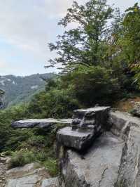 天橋勝境~非橋似橋的意境!