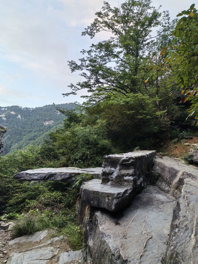 天橋勝境~非橋似橋的意境! 天橋勝境~非橋似橋的意境!