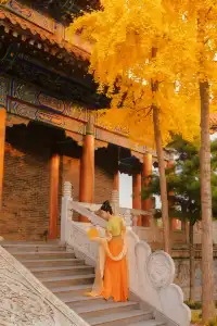 巨出片西安嚴重被低估的皇家寺院