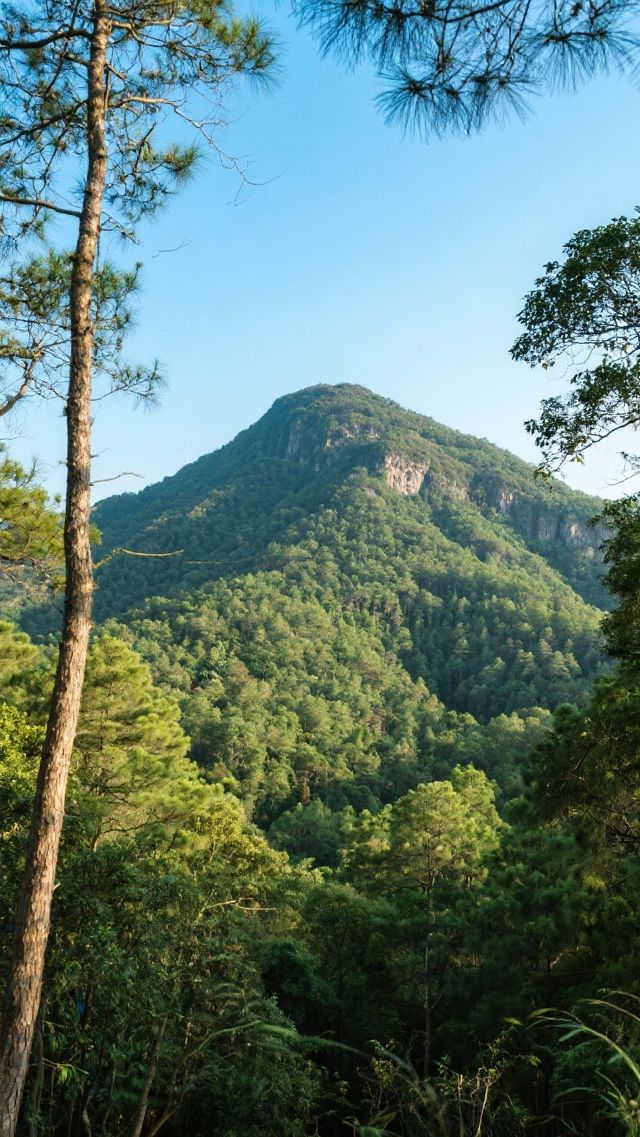 歡迎來到南雄 歡迎來到南雄