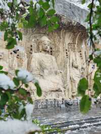 洛陽龍門石窟冬雪攻略雪中佛龕一眼越千年