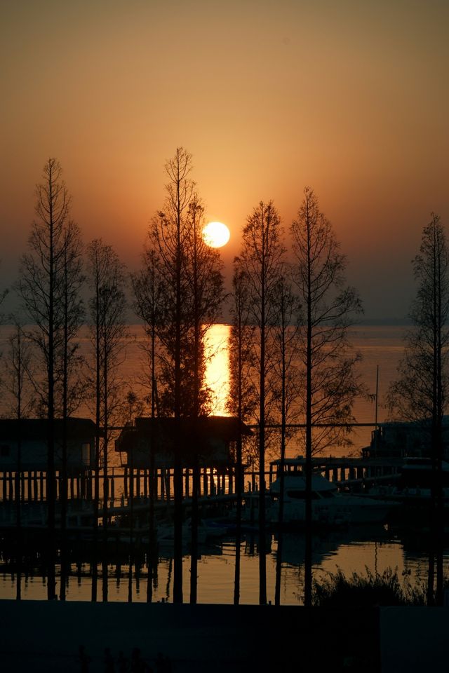 淀山湖喜來登偶遇網紅黑貓店長|松下S9膠片風大片 淀山湖喜來登偶遇網紅黑貓店長|松下S9膠片風大片