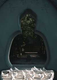 【住美豪，尋冬趣｜遇見香火與暖陽交織的古都冬天】