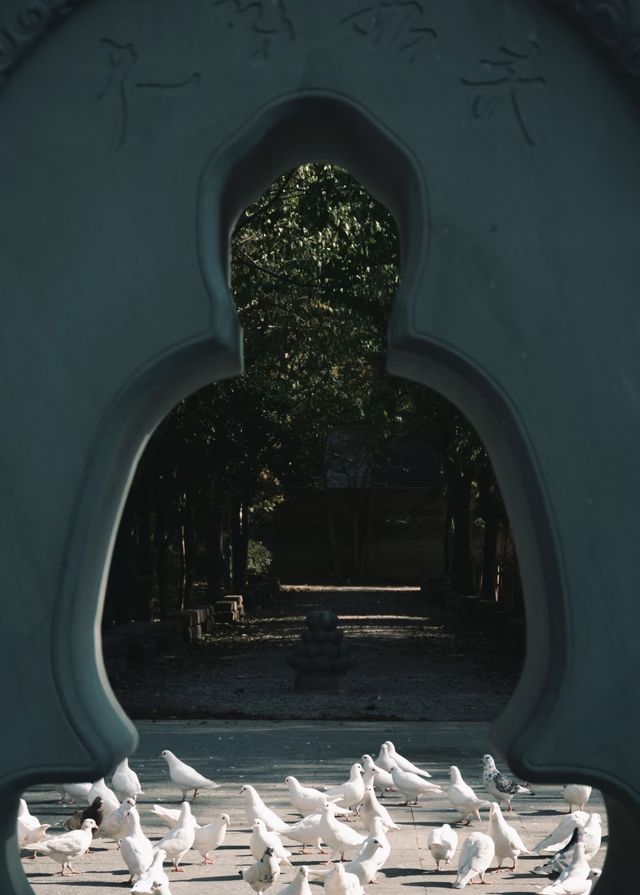 【住美豪，尋冬趣｜遇見香火與暖陽交織的古都冬天】