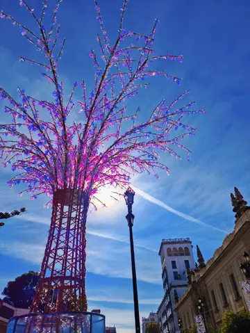 塞維利亞的閒散時光(之一) 塞維利亞的閒散時光(之一)