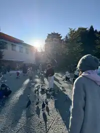 人均3k玩轉雲南8天!大理麗江香格里拉