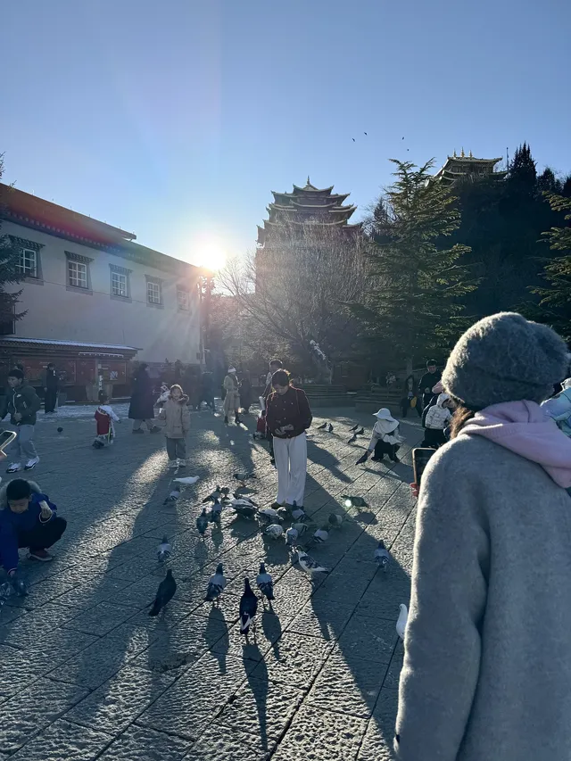 人均3k玩轉雲南8天!大理麗江香格里拉 人均3k玩轉雲南8天!大理麗江香格里拉