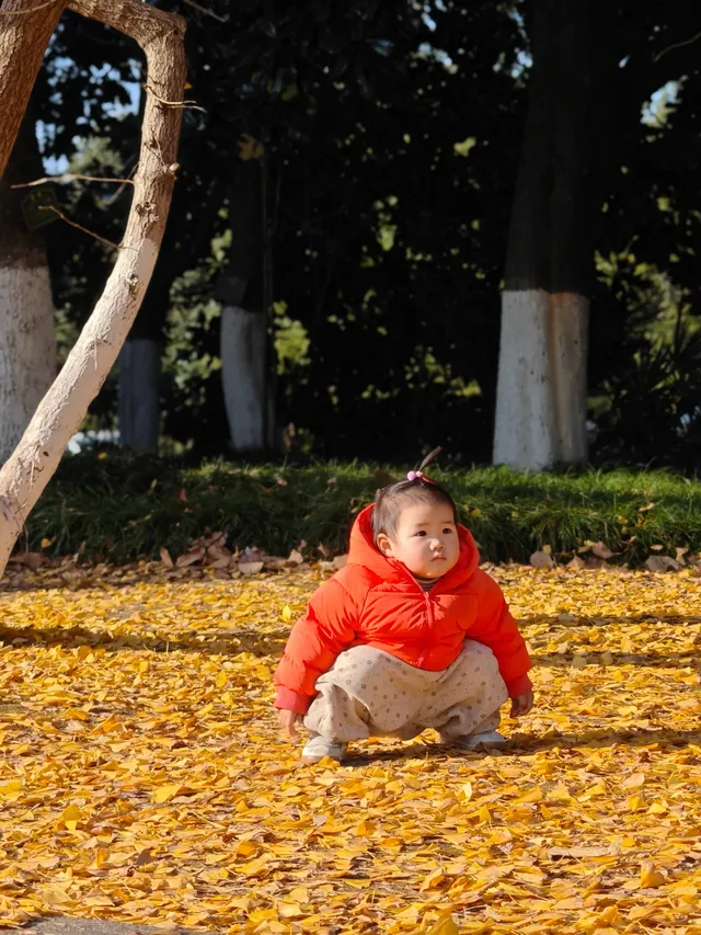 你是來拉屎的吧?! 你是來拉屎的吧?!