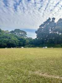 華南植物園拍照吸氧全攻略｜逃離城市計劃來啦