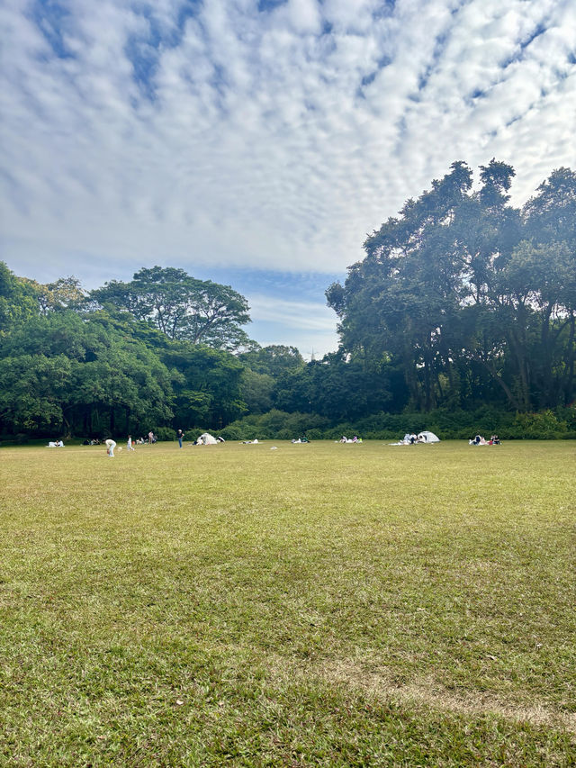 華南植物園拍照吸氧全攻略｜逃離城市計劃來啦