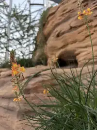 三生三世｜上海溫室花園 人少篇