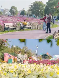 鹽城三日出逃計劃|自然與狂歡的雙重治癒