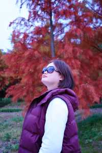 上海|又給大家找到一個拍照好去處絕對出片