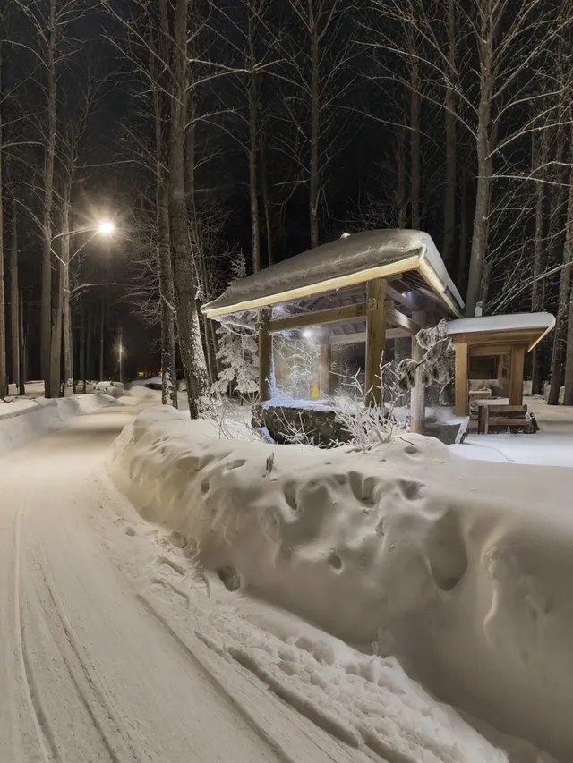去長白山北坡選藍景一站式滑雪度假 去長白山北坡選藍景一站式滑雪度假