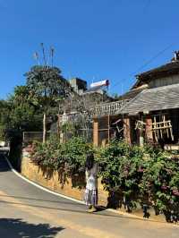 二次遊版納！一點都不累！小朋友說比迪士尼更好玩。