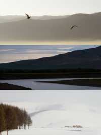 西北小城治癒之旅|舌尖上的酥香和雪景中的希岸