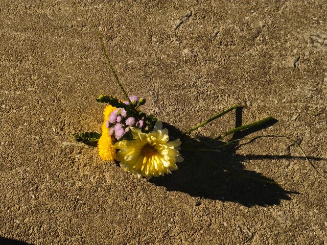 在南澳隱秘山谷裡,住進了她的花藝工作室 在南澳隱秘山谷裡,住進了她的花藝工作室