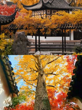 Real Shots! Suzhou's Autumn Scenery is Legendary! Three Stunning Autumn Viewing Routes Included