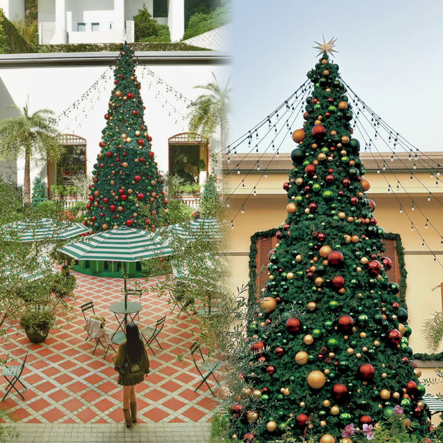 【全香港最治癒的聖誕,藏在淺水灣的樹下】 【全香港最治癒的聖誕,藏在淺水灣的樹下】