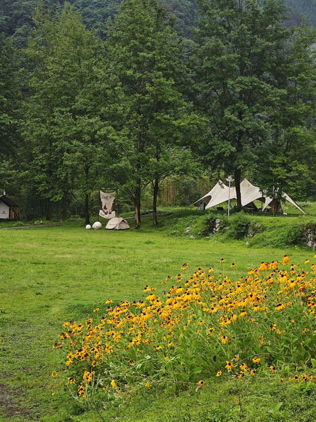 彭州小眾露營地推薦 彭州小眾露營地推薦