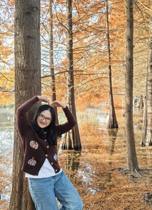 愛上金陵的秋(五) 愛上金陵的秋(五)