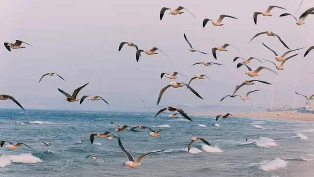 威海/布魯威斯沉船/ 是海風,是船,是浪漫 威海/布魯威斯沉船/ 是海風,是船,是浪漫