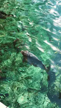 傳說中的“琉璃海”，我在濟南找到了！