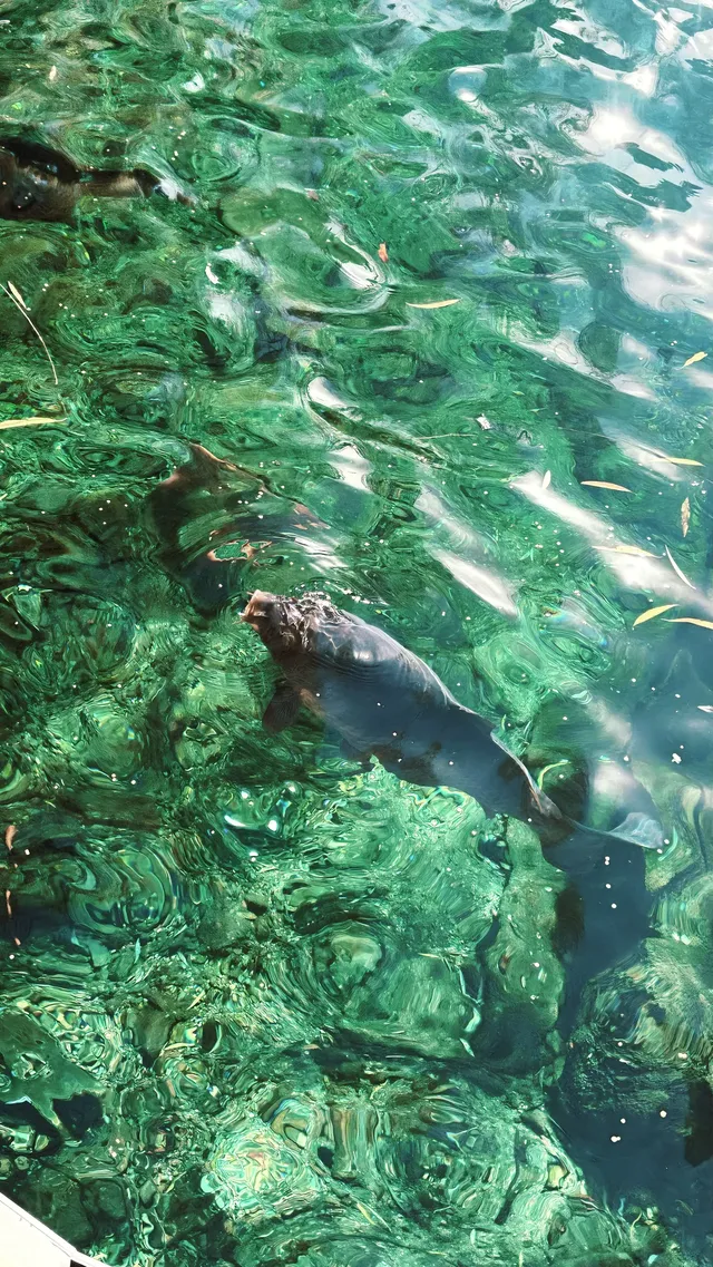 傳說中的“琉璃海”，我在濟南找到了！