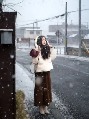 北海道雪又開始下了。