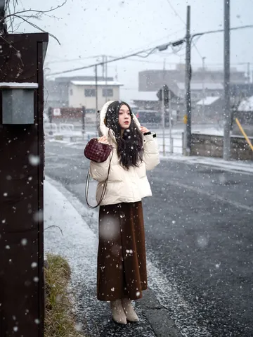 北海道雪又開始下了。