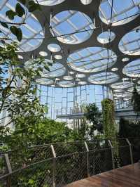 Shanghai Greenhouse Garden – всё, что нужно знать