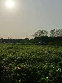 海寧親子遊必打卡