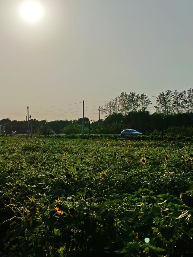 海寧親子遊必打卡 海寧親子遊必打卡