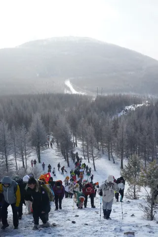 北京3h直達！樺皮嶺雪季攻略｜新手也能衝！