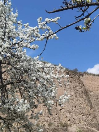 臨沂固原旅行ガイド固原へようこそ。