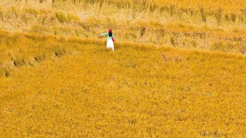 HuaiBei's Amazing Power: A Super Fun Two-Day Trip That Went Viral on Social Media — traveler post in Huaibei